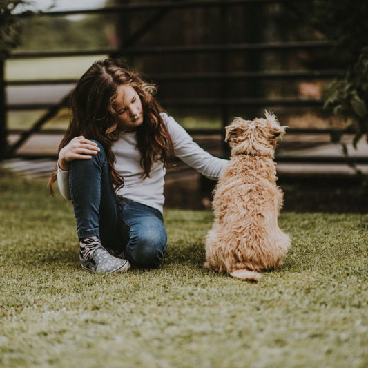 What to do if Your Dog has Anxiety
