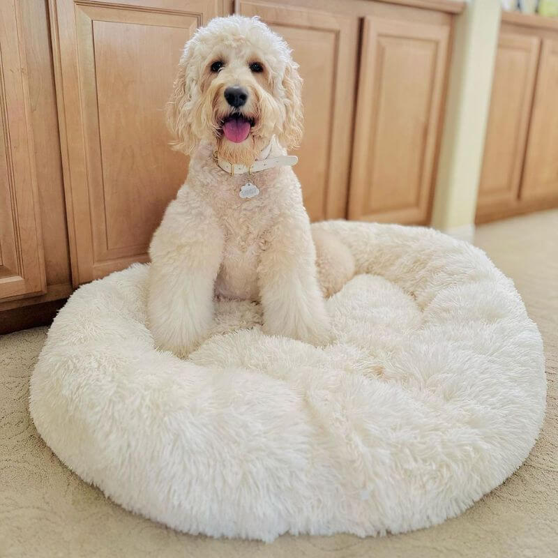 FluffyFriendShop™ - World's #1 Anxiety Relieving Dog Bed