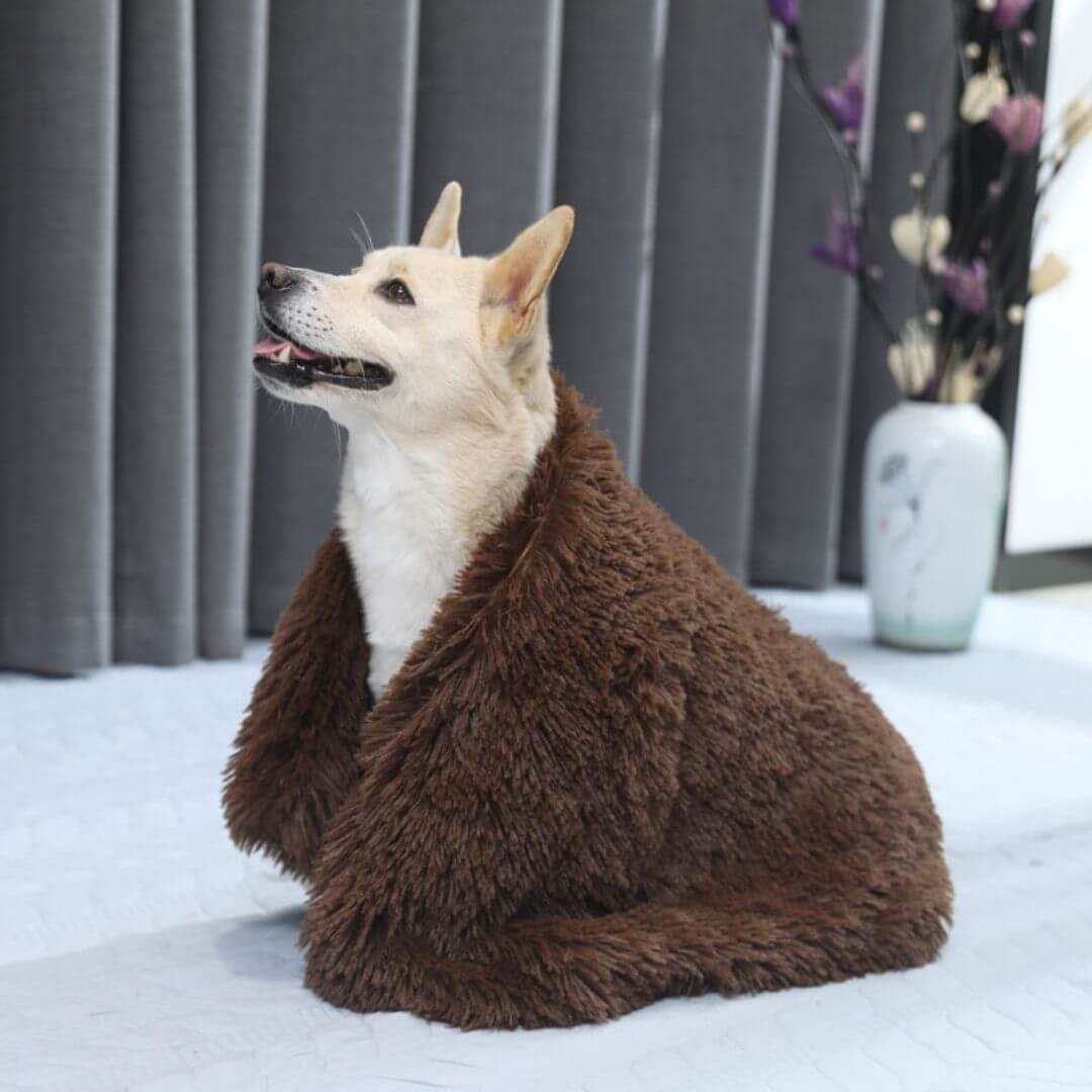 FluffyFriendShop™ - Anxiety Relieving Fluffy Pet Blanket