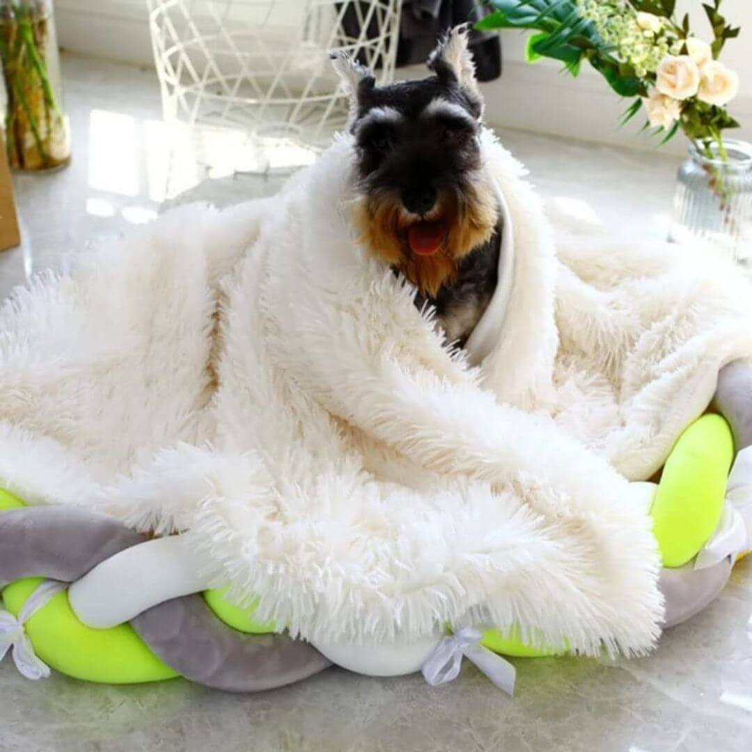 FluffyFriendShop™ - Anxiety Relieving Fluffy Pet Blanket