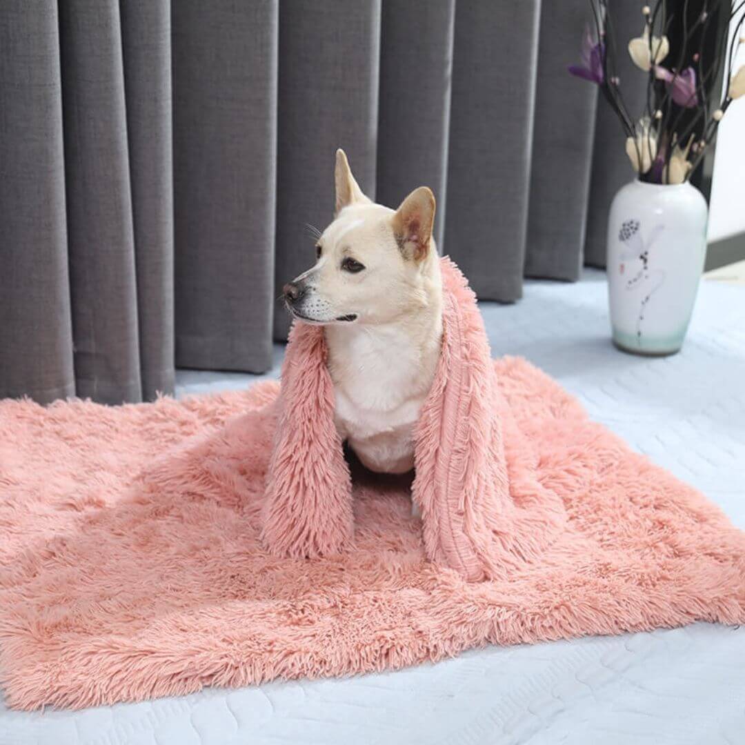 FluffyFriendShop™ - Anxiety Relieving Fluffy Pet Blanket