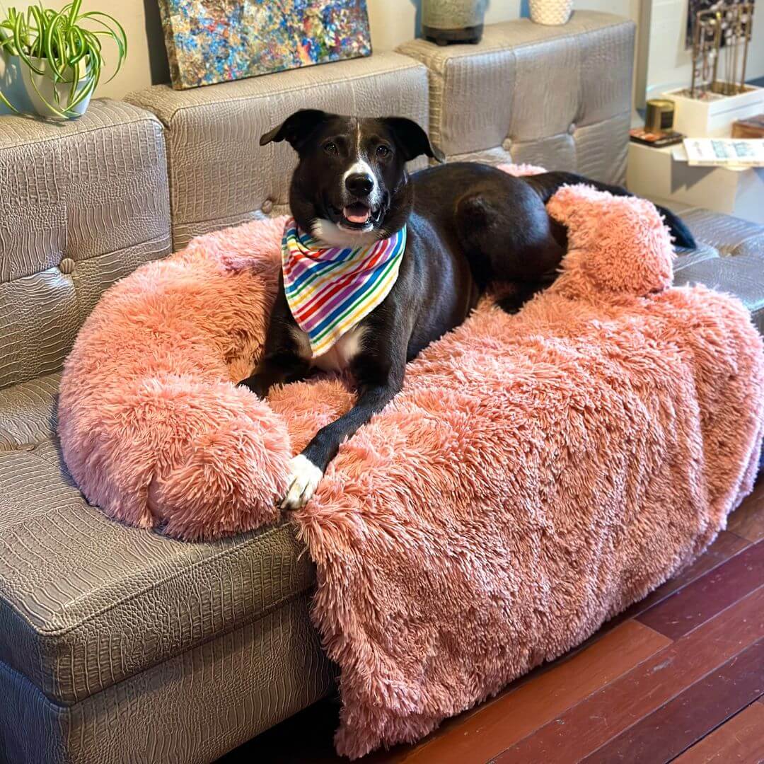 Fluffy Couch Cover for Dogs and Cats