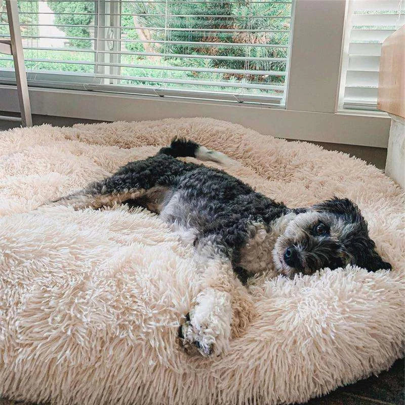 FluffyFriendShop™ - World's #1 Anxiety Relieving Dog Bed