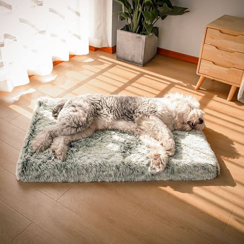 FluffyFriendShop™ - Orthopaedic Pillow