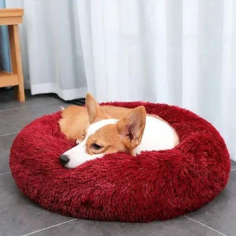 FluffyFriendShop™ - World's #1 Anxiety Relieving Dog Bed