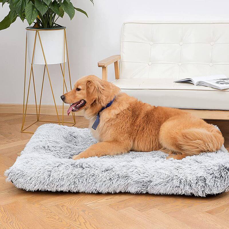 FluffyFriendShop™ - Orthopaedic Pillow