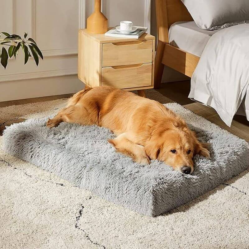 FluffyFriendShop™ - Orthopaedic Pillow