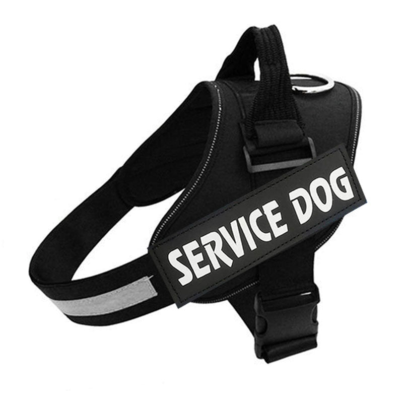 FluffyFriendShop™ - Customizable Powerharness