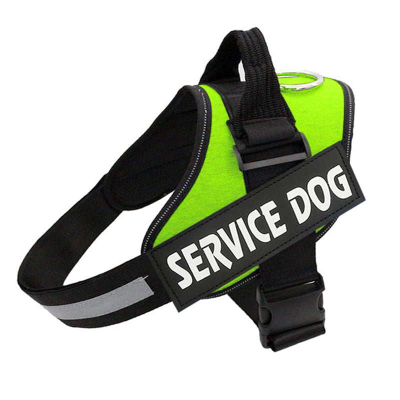 FluffyFriendShop™ - Customizable Powerharness