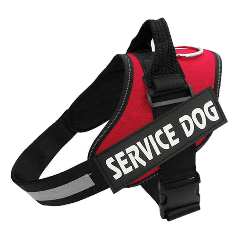 FluffyFriendShop™ - Customizable Powerharness