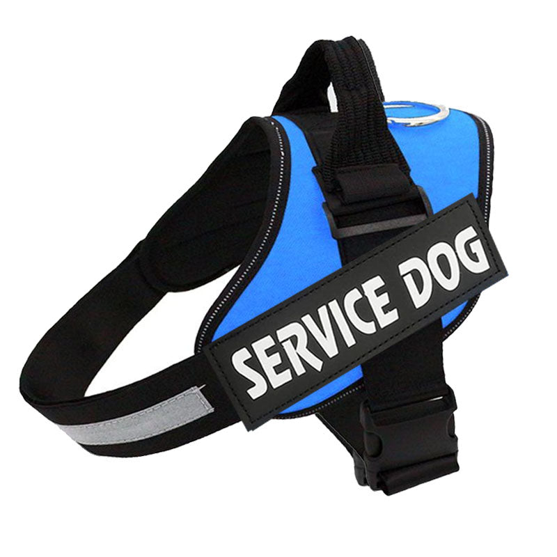 FluffyFriendShop™ - Customizable Powerharness