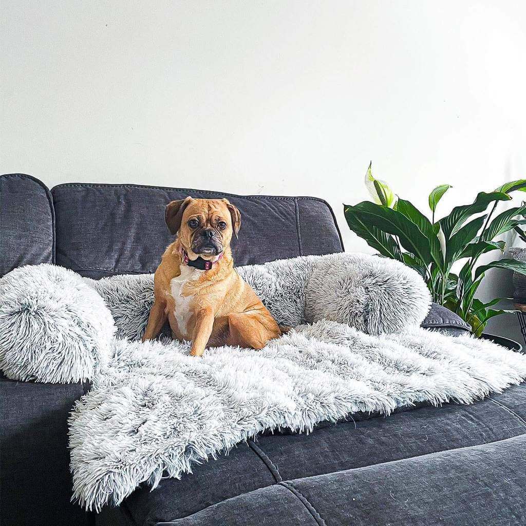 Fluffy Couch Cover for Dogs and Cats